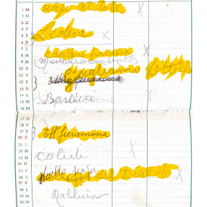 1950_09_01_elettrocarbonium_1950_51_10