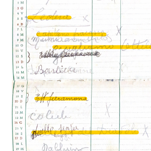 1950_12_01_elettrocarbonium_1950_51_10