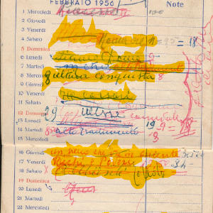 1955_10_16_bruzia_1955_56_05