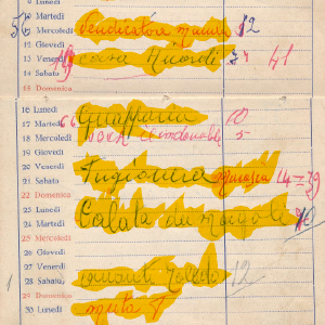 1955_10_16_bruzia_1955_56_07