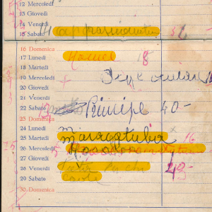 1955_12_01_bruzia_1955_56_12