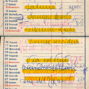 1959_02_01_bruzia_1958_59_14