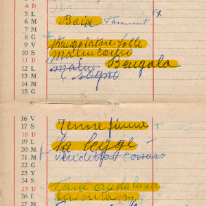 1961_11_01_fedi_1961_62_24