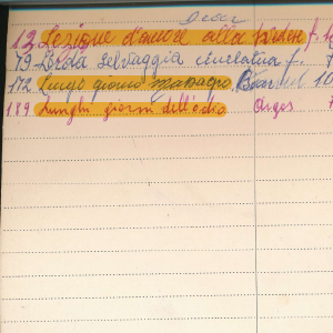 1968_01_01_rubrica_fratelli_de_leon_14