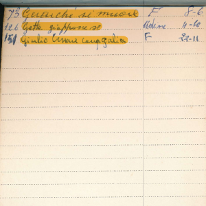 1972_01_01_rubrica_fratelli_de_leon_09