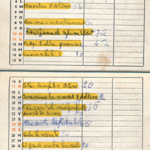 1976_12_01_elettrocarbonium_1976_77_19