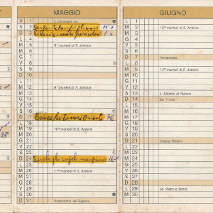 1981_01_01_calendario_proiezioni_02